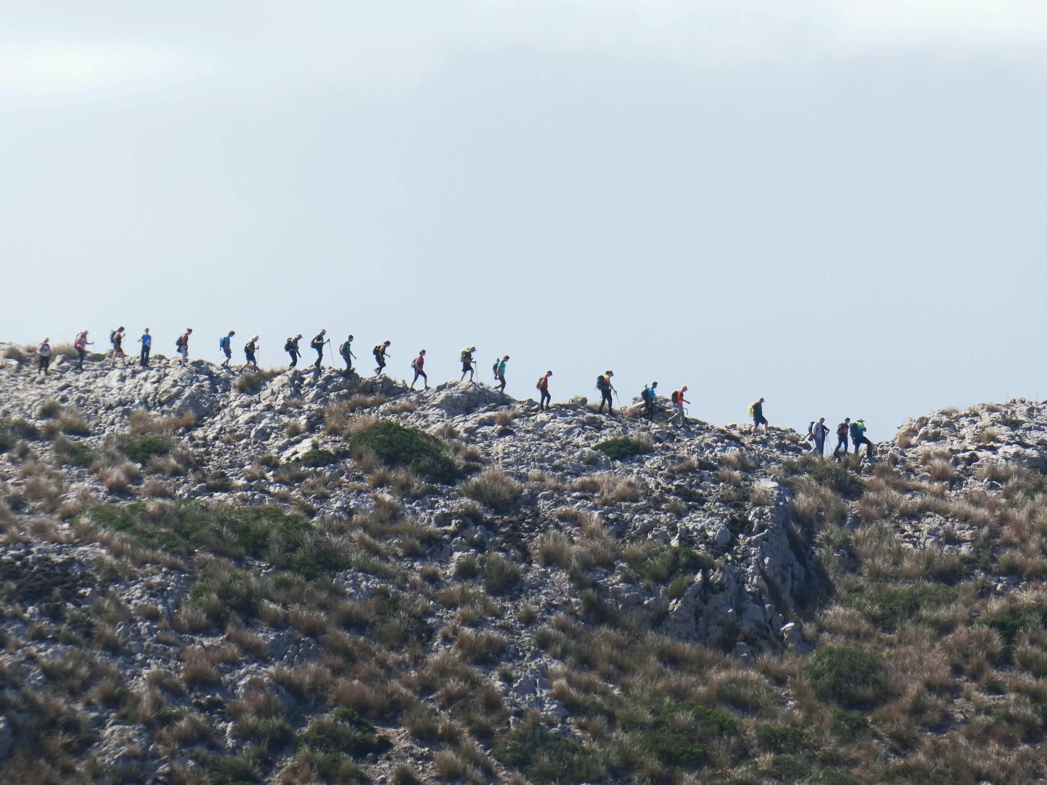 Imatge per al bloc 11